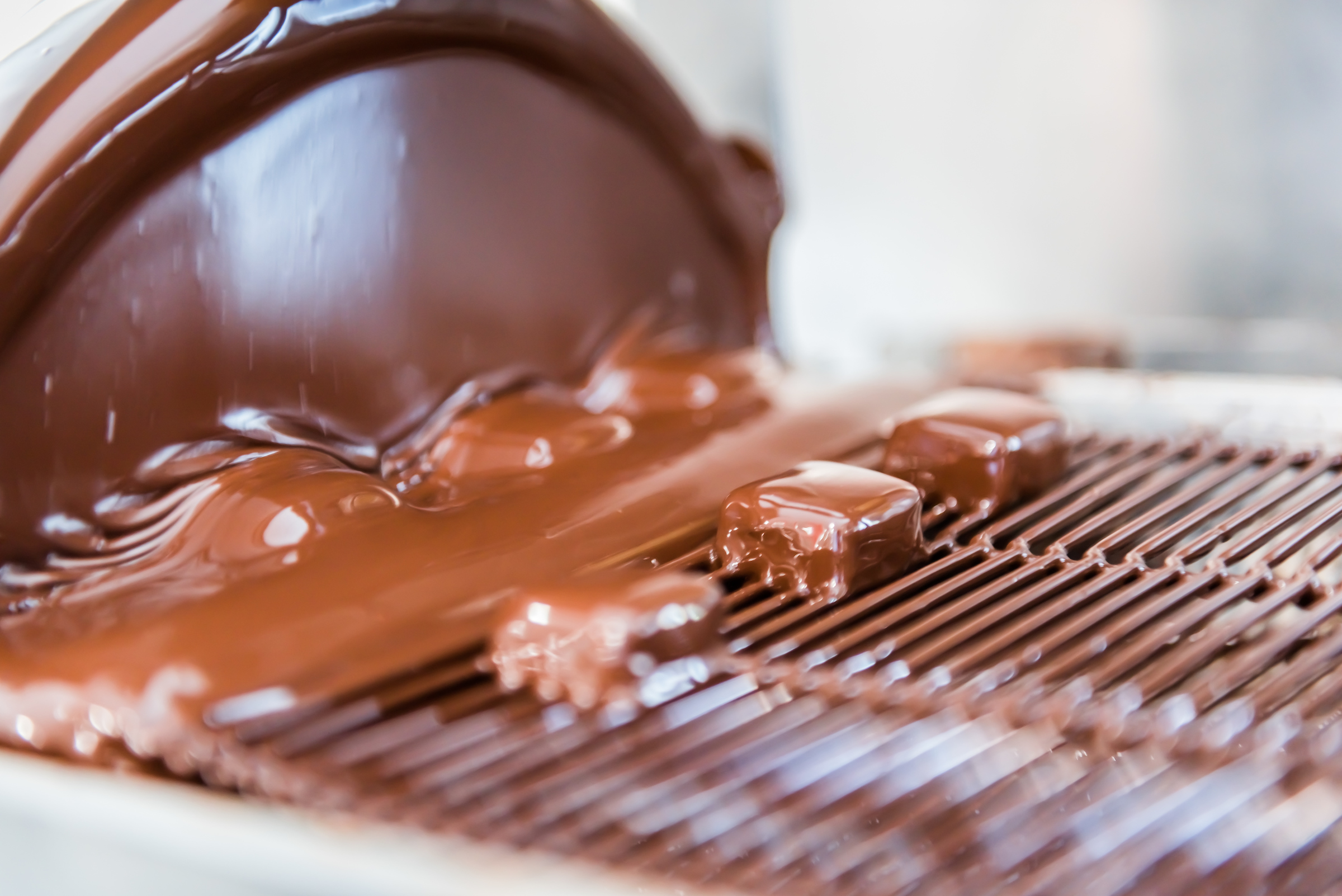 "Passion Chocolat | Workshop ganaches"