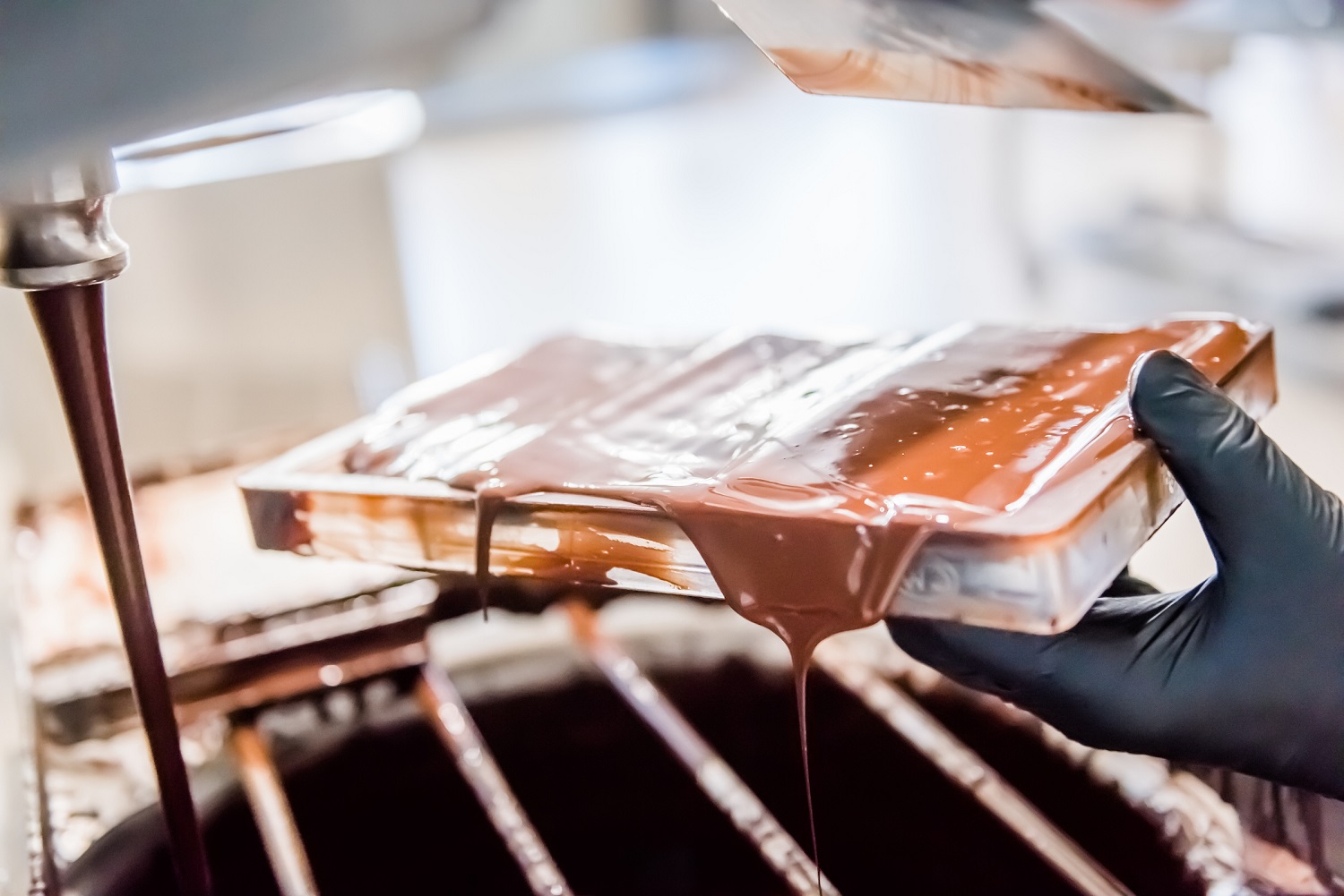 "Passion Chocolat | Pralines made by hand"
