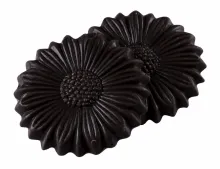 Fleurs